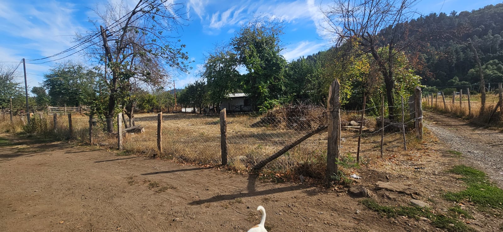 Terreno Santa Barbara