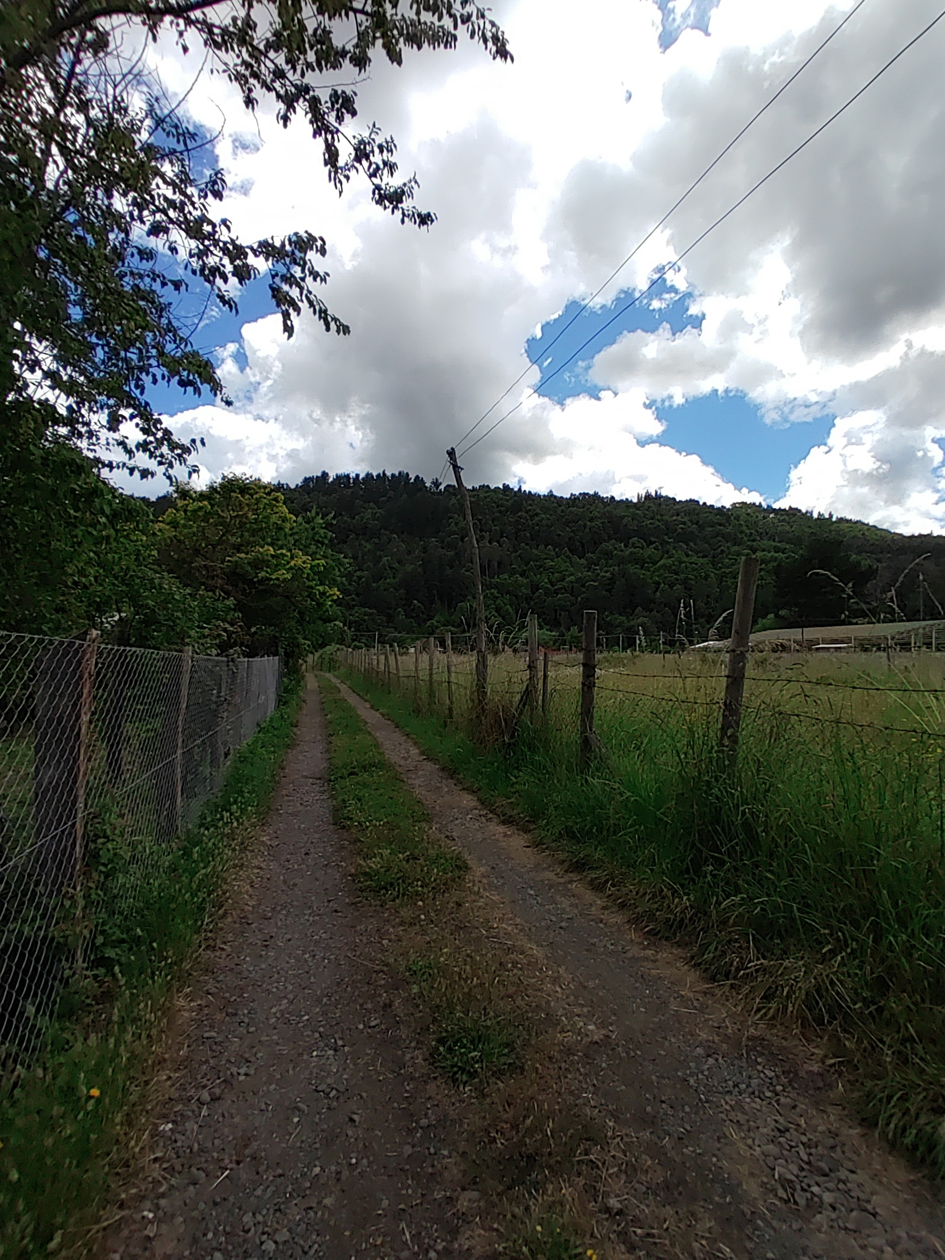 Terreno Santa Barbara